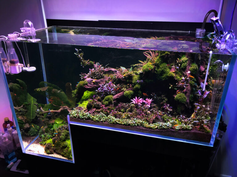 Aquarium,L,Tank